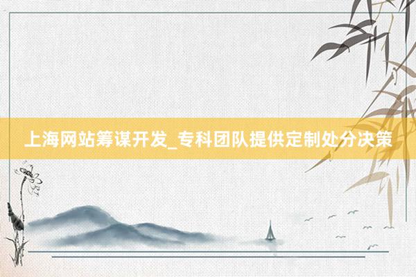 上海网站筹谋开发_专科团队提供定制处分决策