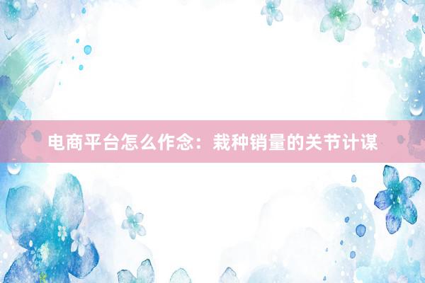 电商平台怎么作念：栽种销量的关节计谋