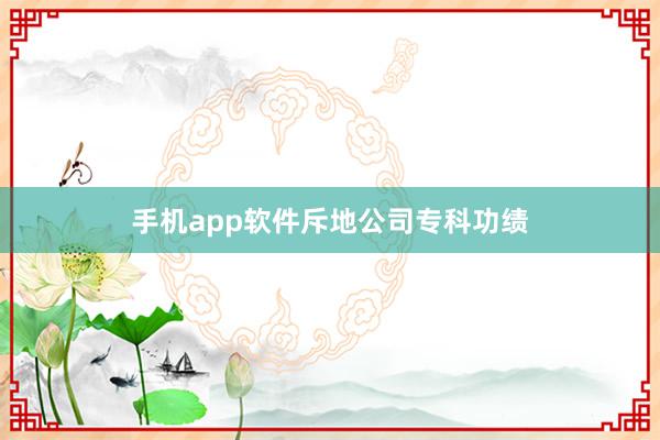 手机app软件斥地公司专科功绩