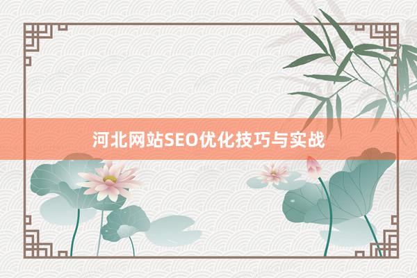 河北网站SEO优化技巧与实战