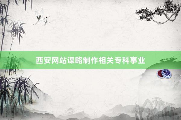 西安网站谋略制作相关专科事业